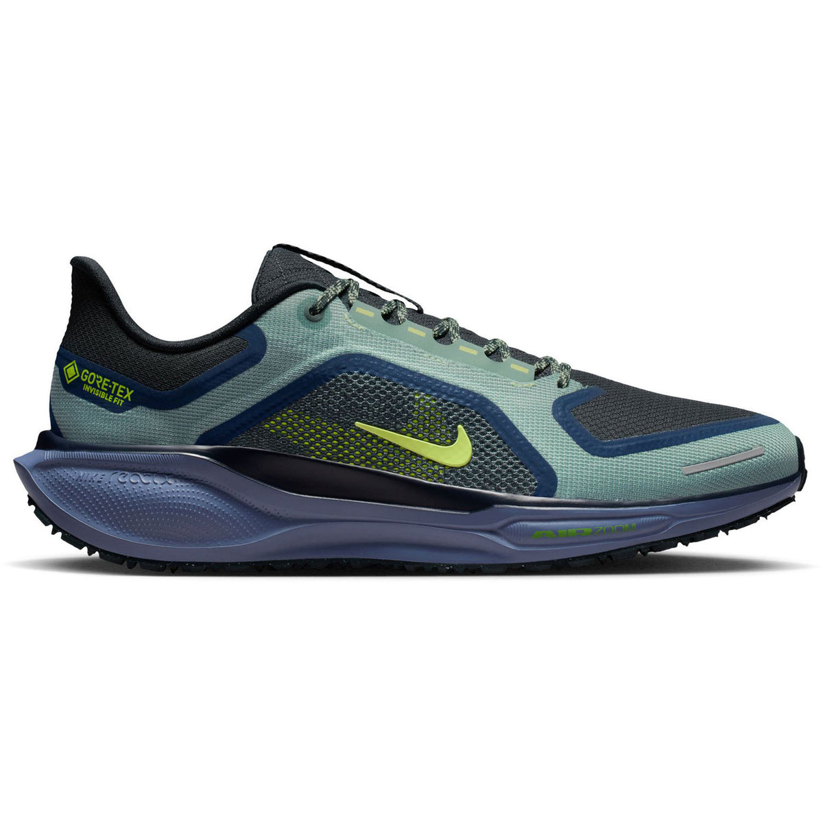 Nike Pegasus 41 GTX Hardloopschoenen Heren