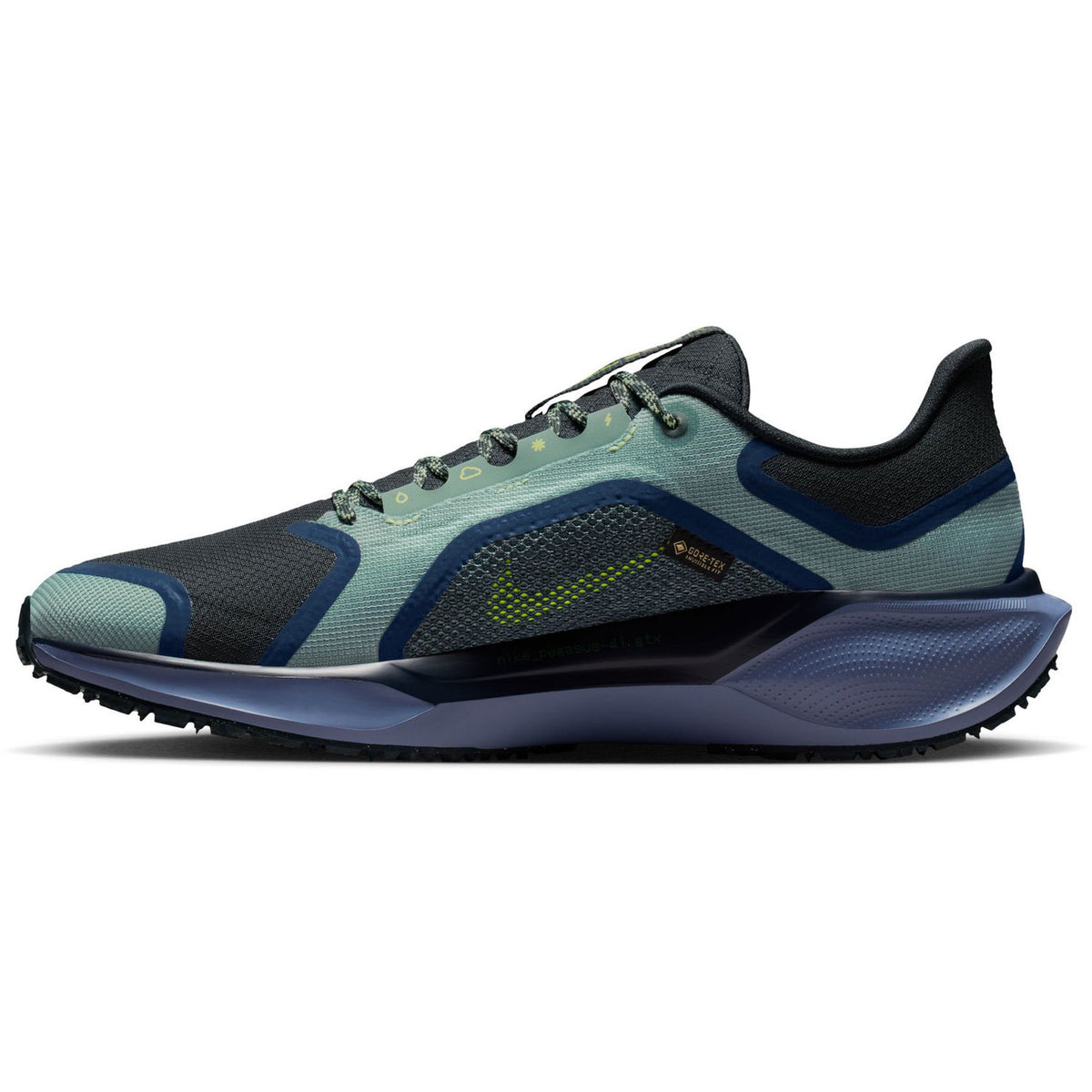 Nike Pegasus 41 GTX Hardloopschoenen Heren