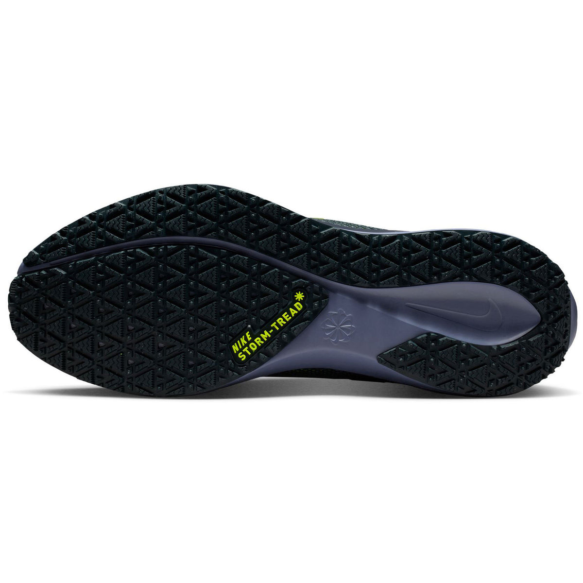 Nike Pegasus 41 GTX Hardloopschoenen Heren