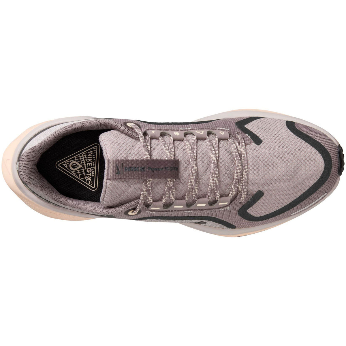Nike Pegasus 41 GTX  Hardloopschoenen Dames
